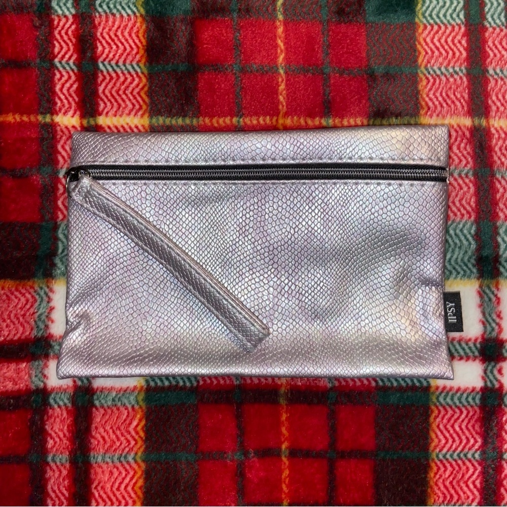 IPSY Silver Clutch Bag